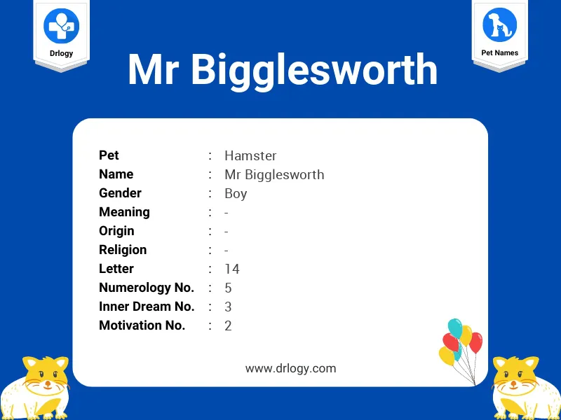 Mr Bigglesworth Name Meaning
